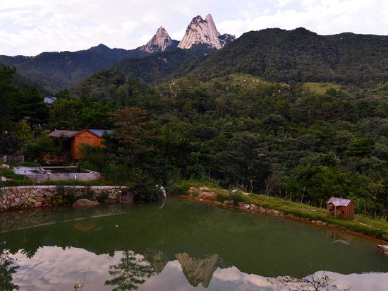 頂門頂戶頂梁柱，功名利祿靠此處！不看后悔！