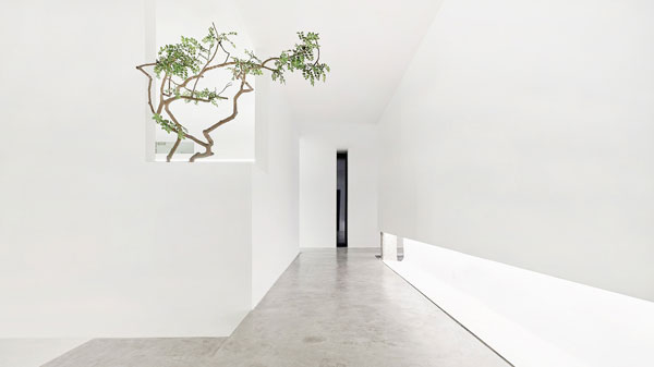 設計空間的留白，綠植的存在更顯空曠與天地寬廣