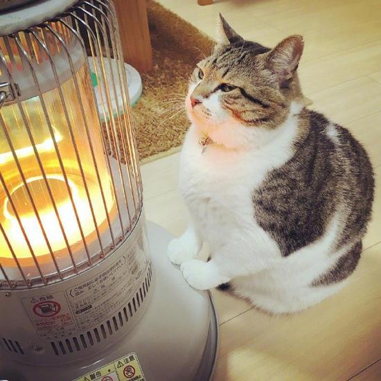 東北人過(guò)冬是認(rèn)真的 為保暖竟用塑料膜當(dāng)墻擋風(fēng)